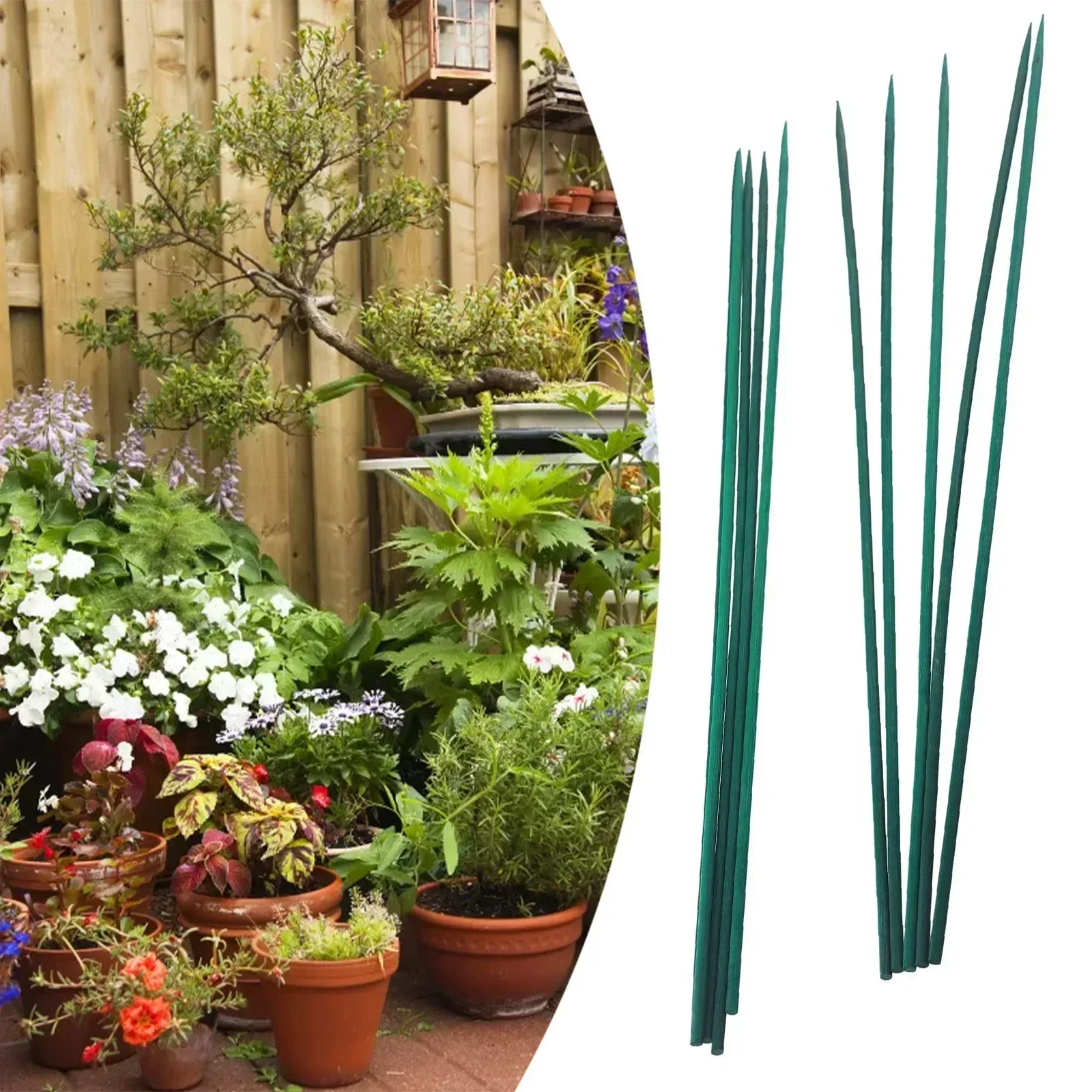 Plant Parent Kit - 10 adet 40 cm Bitki Bahis