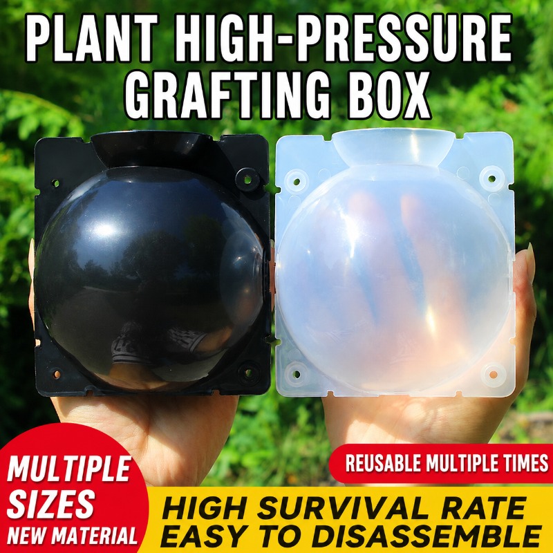 Plant Parent Kit - 10 adet Bitki Çoğaltma Seti: Hızlı