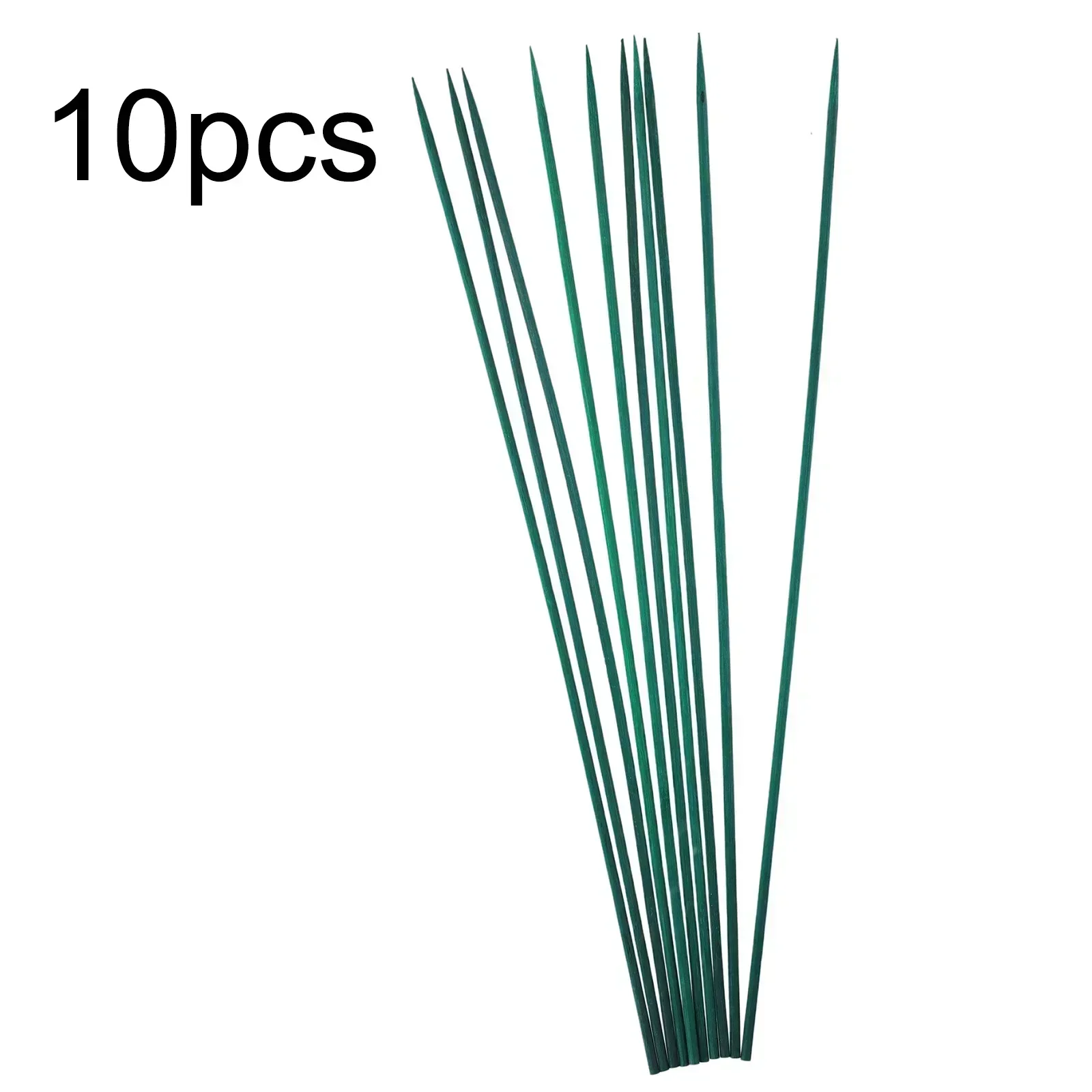 10 adet 40 cm Bitki Bahis KITI - Plant Parent Kit incelemesi ve fiyatı