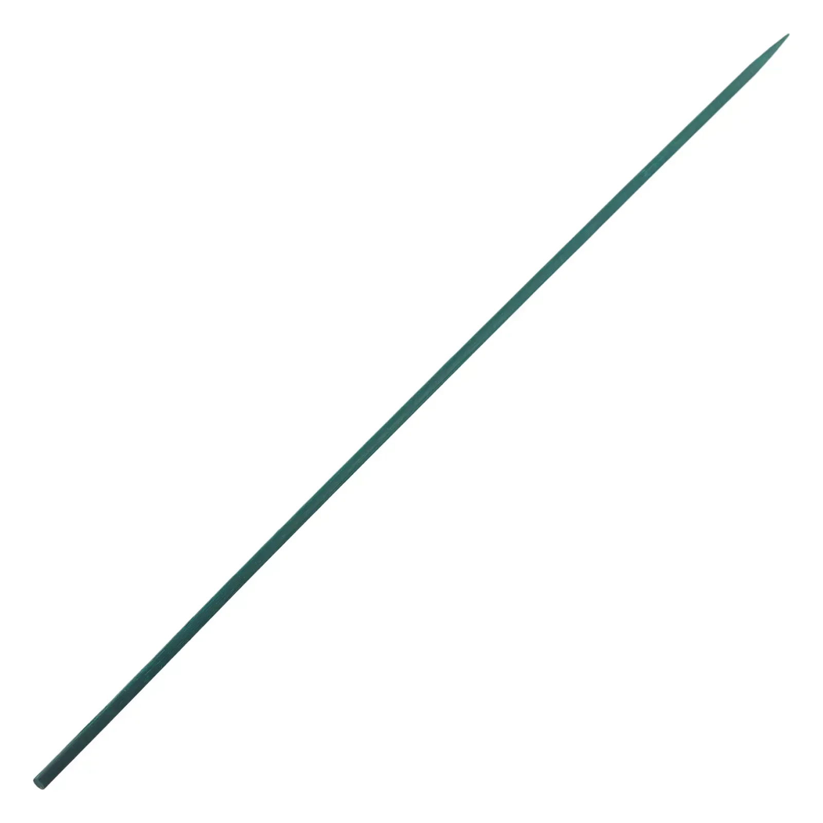 10 adet 40 cm Bitki Bahis KITI - Plant Parent Kit incelemesi ve fiyatı