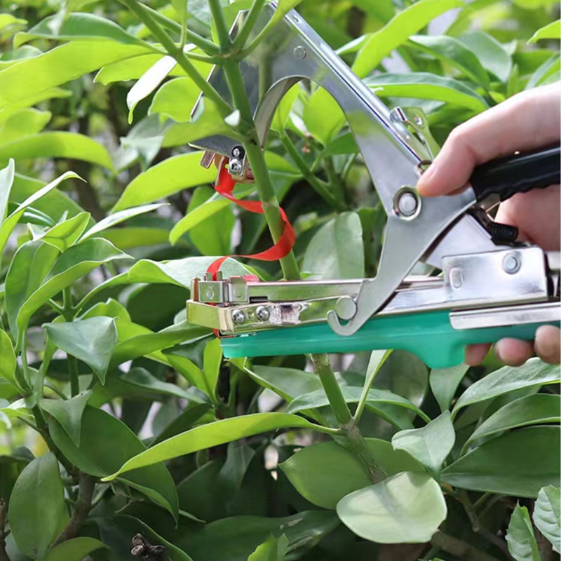 Bahçe Bitkileri Dal Bağlama Ma - Plant Parent Kit incelemesi ve fiyatı