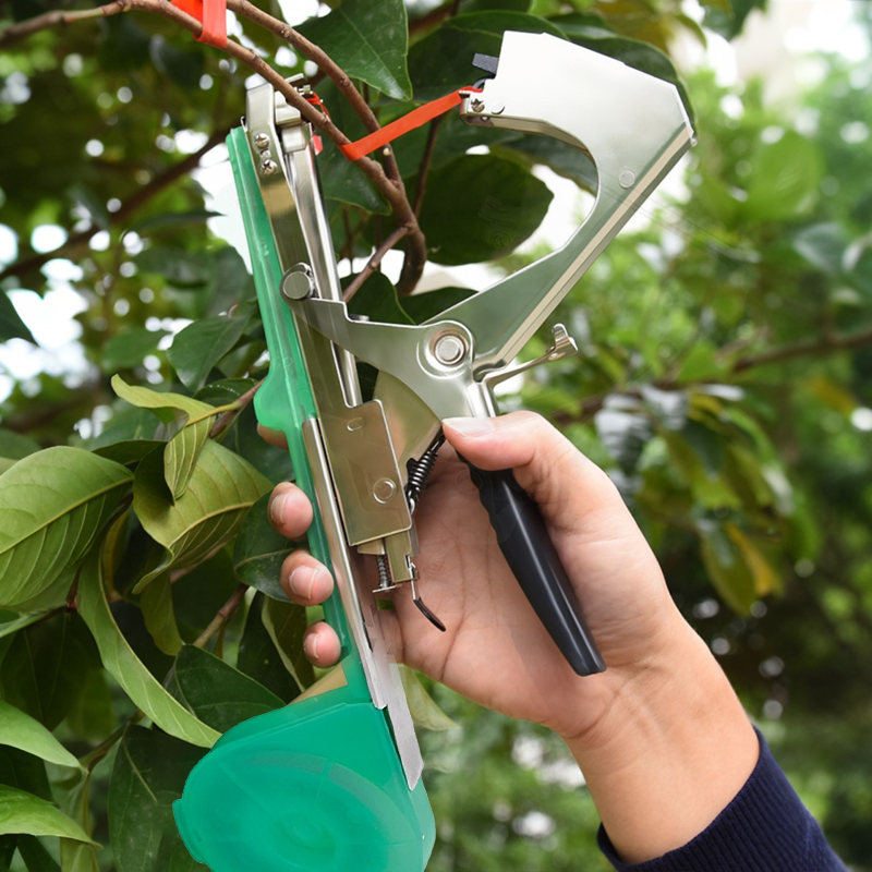 Bahçe Bitkileri Dal Bağlama Ma - Plant Parent Kit incelemesi ve fiyatı