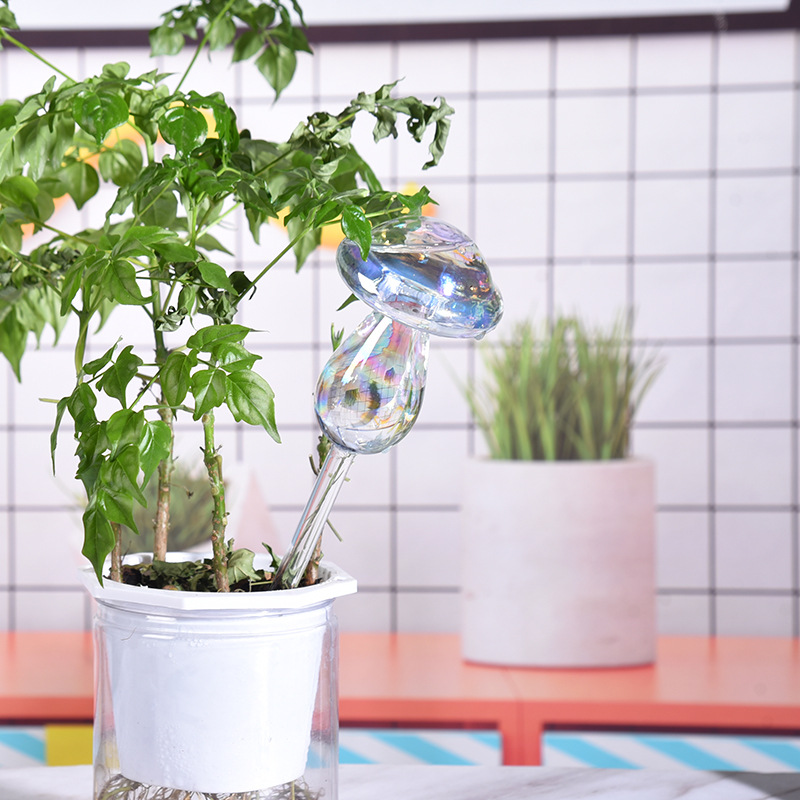 1/2 adet cam saman otomatik bi - Plant Parent Kit incelemesi ve fiyatı