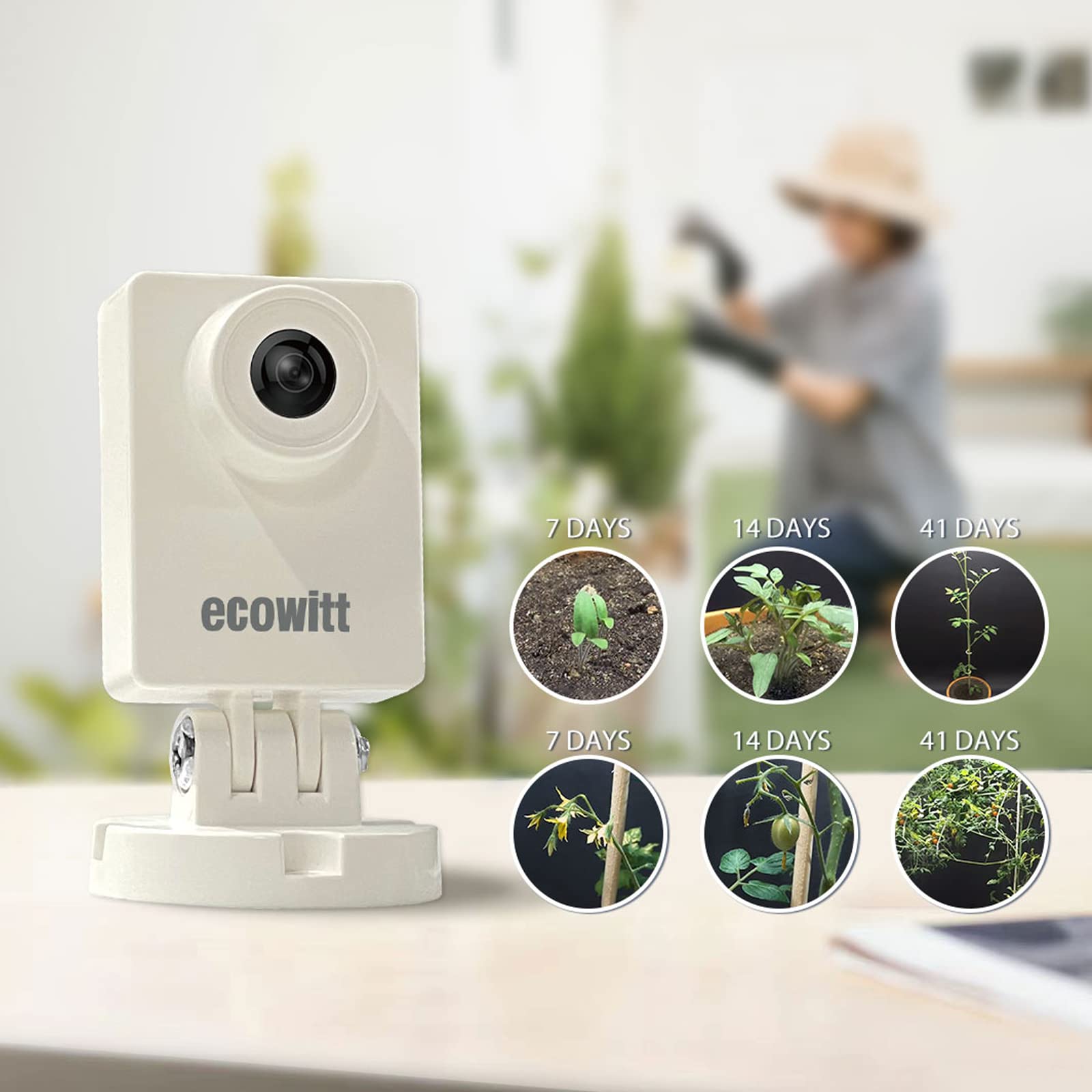 Ecoweather HP10 WittCam açık h - Plant Parent App incelemesi ve fiyatı