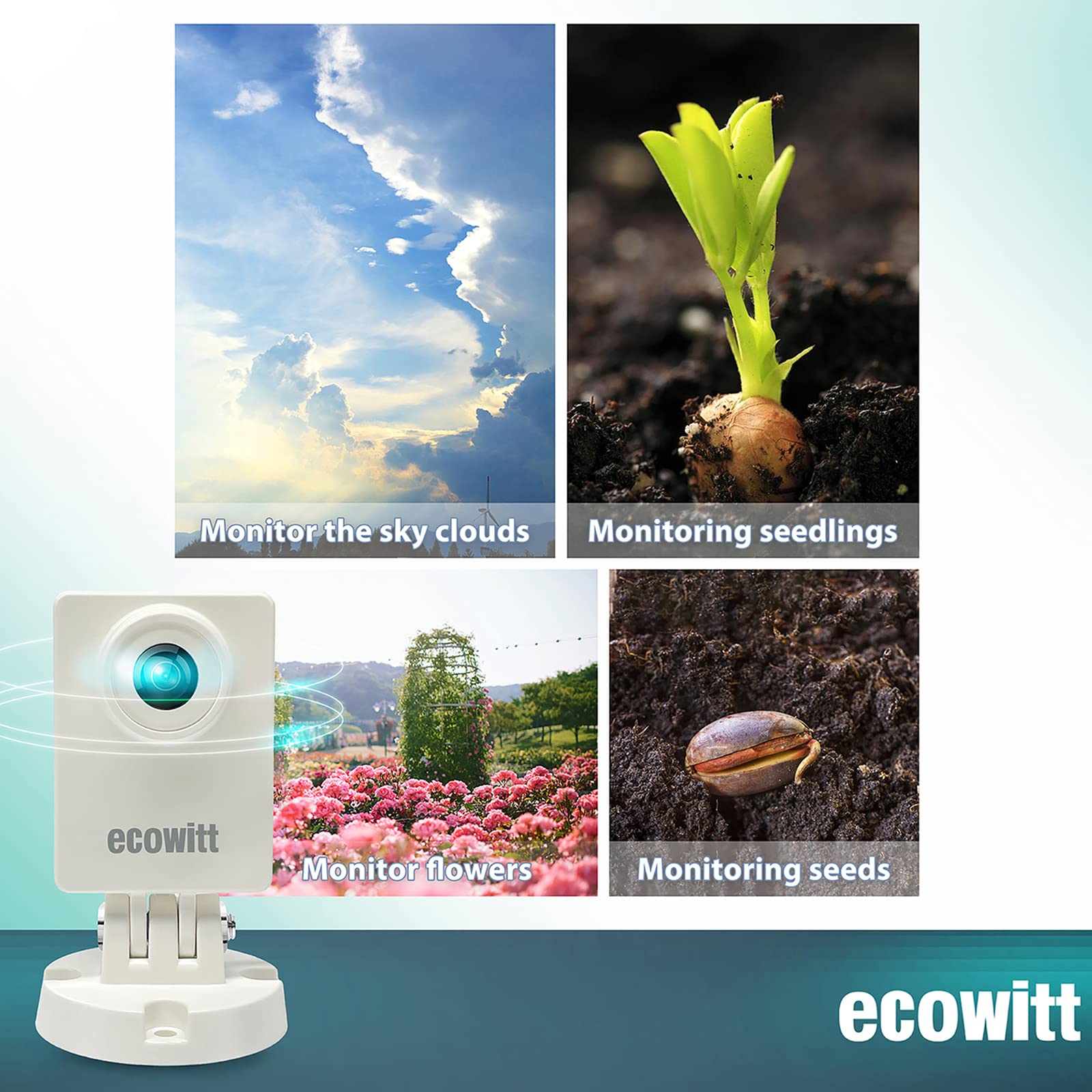 Ecoweather HP10 WittCam açık h - Plant Parent App incelemesi ve fiyatı