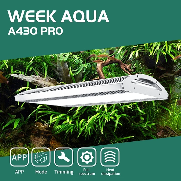 Week Aqua A430 Pro 120W LED Ak - Plant Parent App incelemesi ve fiyatı