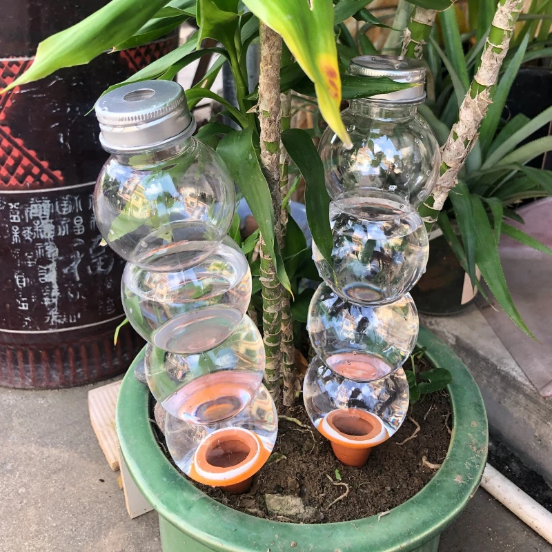1/3/5 adet yaratıcı otomatik s - Plant Parent Kit incelemesi ve fiyatı